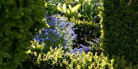 Gartengestaltung . Peter Maximilian Schmidt